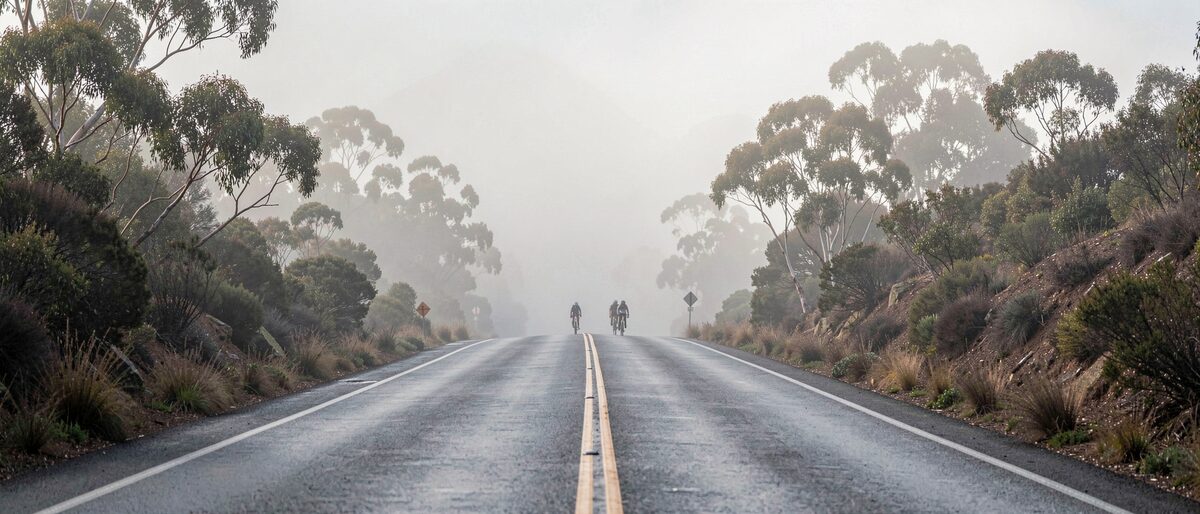 The Marin road in the morning, the group already gone up the hill